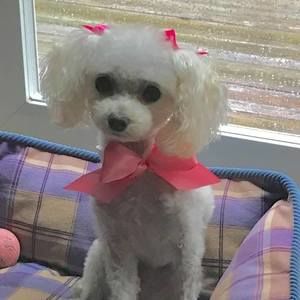 Meet your Posher, Linda